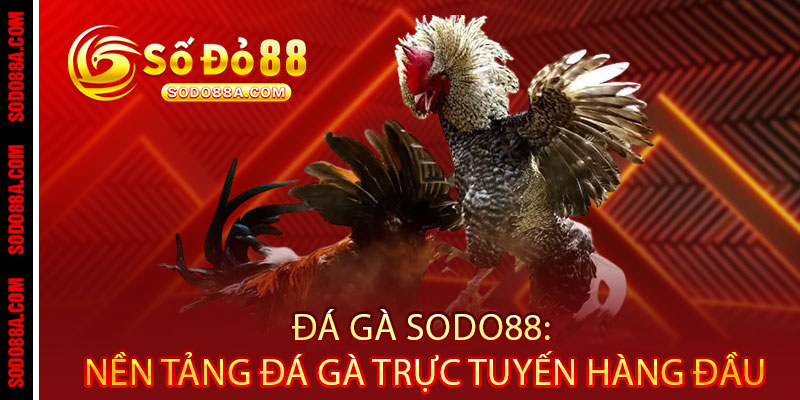 Đá Gà Sodo88 - Cược chất, thắng đậm, xem đã - Một chạm rinh tiền triệu 2 Đá Gà Sodo88: Nền Tảng Đá Gà Trực Tuyến Hàng Đầu