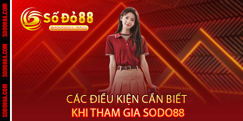 Điều khoản Sodo88 - Rõ ràng từng chữ, công bằng từng giao dịch 2 Các điều kiện cần biết khi tham gia Sodo88