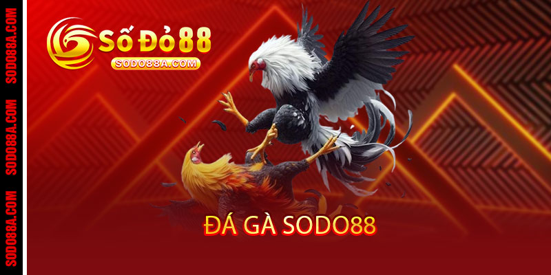 3 2