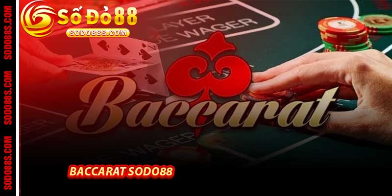 Baccarat Sodo88 - Sảnh Đấu Trí Săn Tiền Thưởng Lớn Nhất 1 Baccarat Sodo88 - Sảnh Đấu Trí Săn Tiền Thưởng Lớn Nhất
